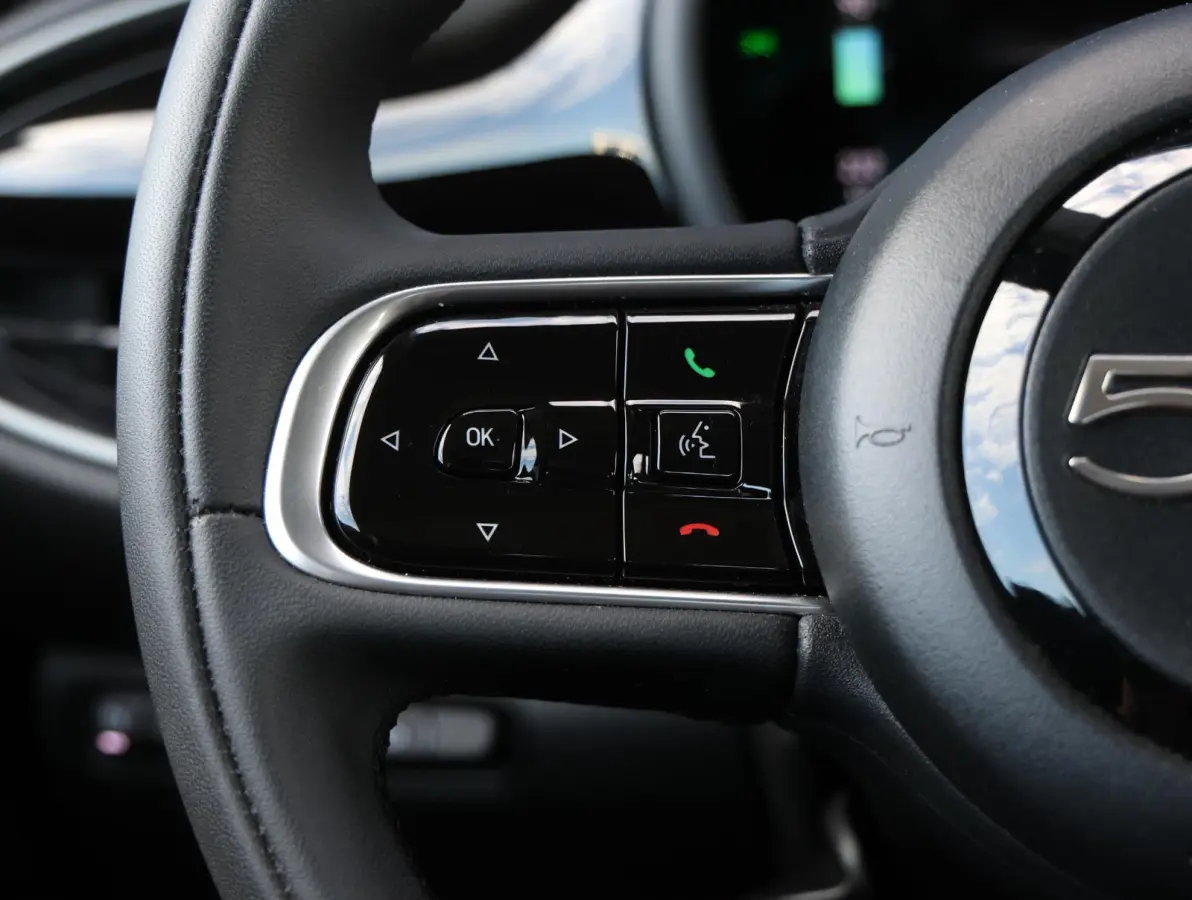Icon 42 kWh 1e Eigenaar | Camera | Navigatie | Apple Carplay & Android Auto