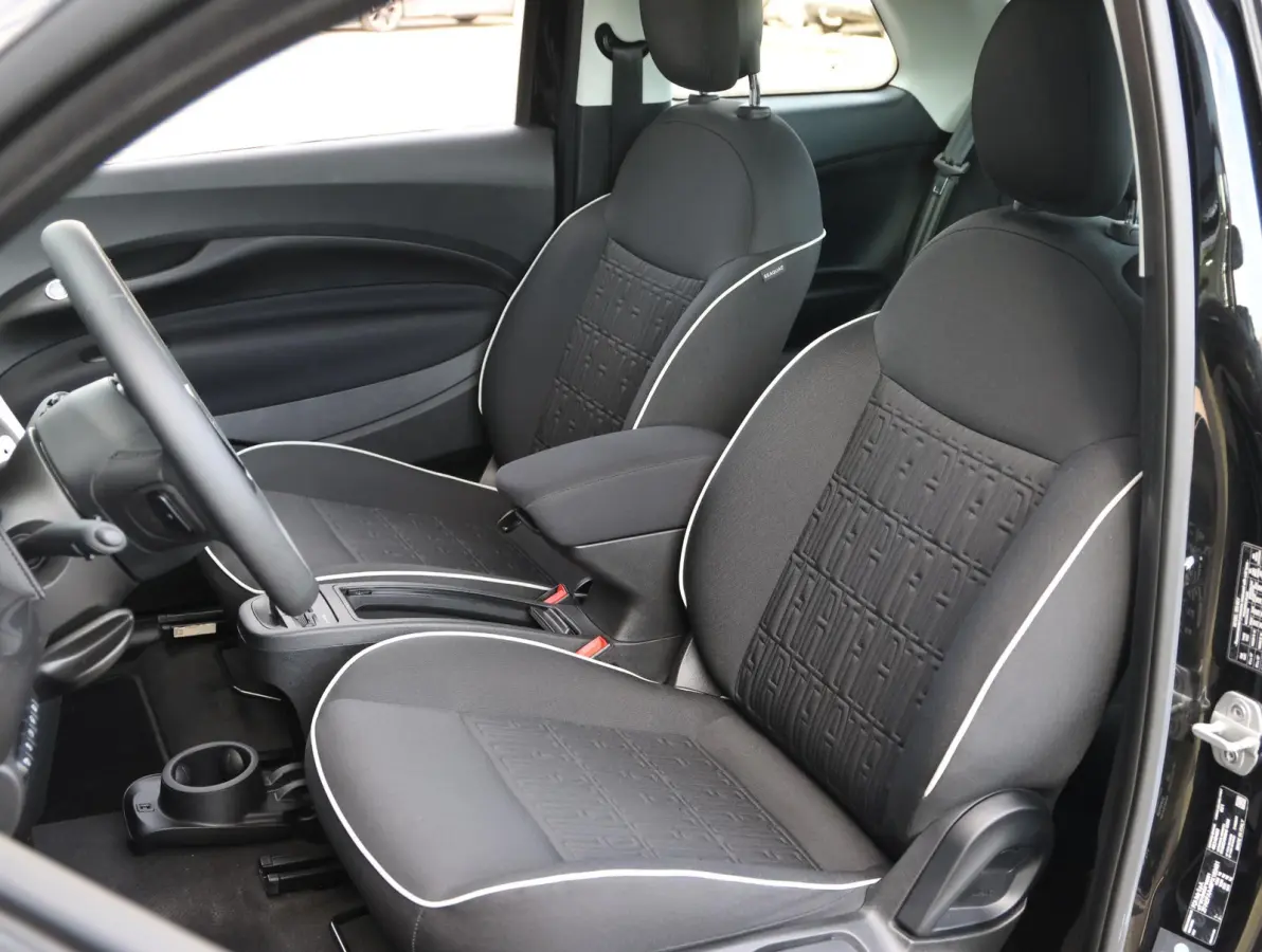Icon 42 kWh 1e Eigenaar | Camera | Navigatie | Apple Carplay & Android Auto