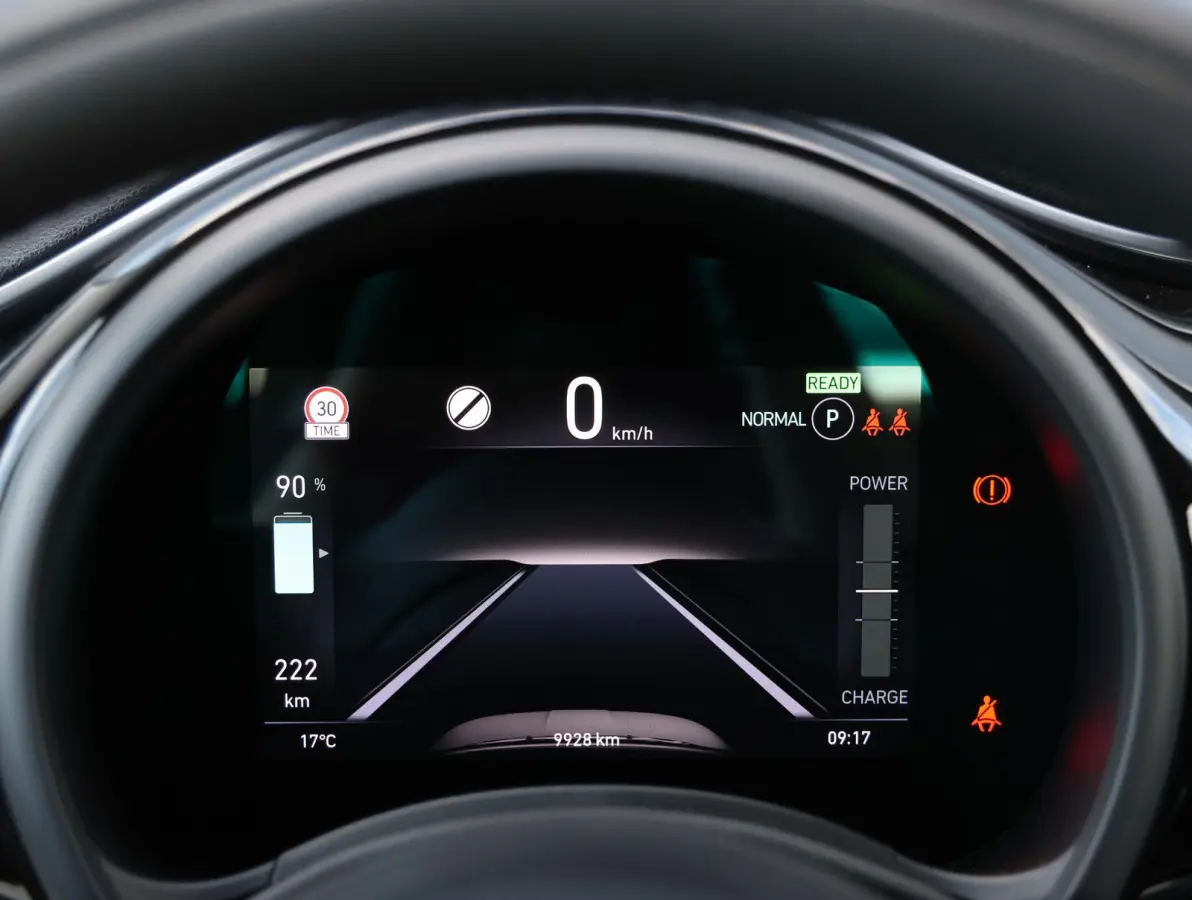 Icon 42 kWh 1e Eigenaar | Camera | Navigatie | Apple Carplay & Android Auto