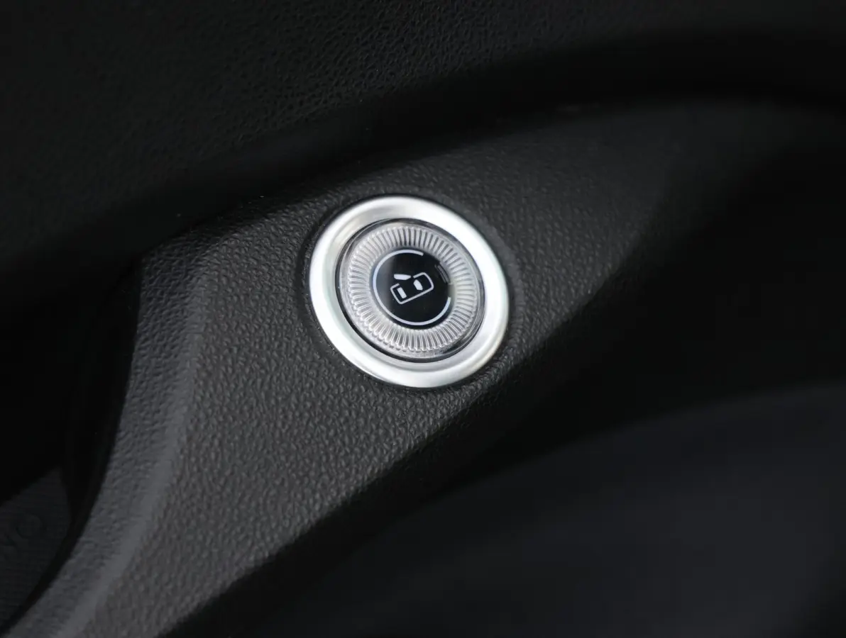 Icon 42 kWh 1e Eigenaar | Camera | Navigatie | Apple Carplay & Android Auto