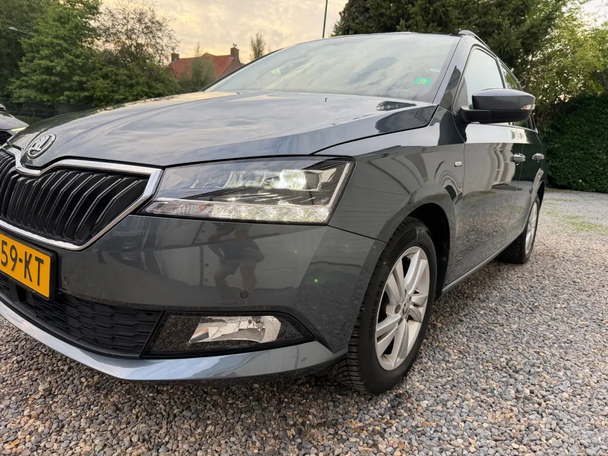 1.0 TSI Style PANORAMADAK.XEON-LED.ADAPTIEF.CLIMA!