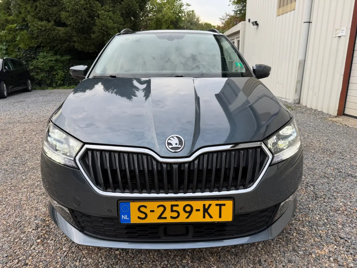 1.0 TSI Style PANORAMADAK.XEON-LED.ADAPTIEF.CLIMA!