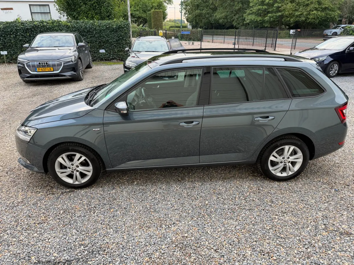 1.0 TSI Style PANORAMADAK.XEON-LED.ADAPTIEF.CLIMA!