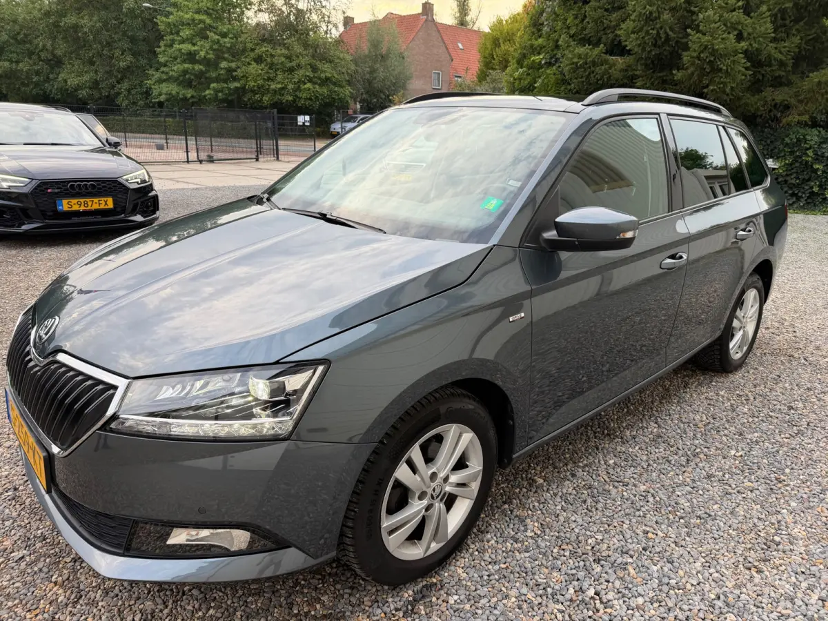 1.0 TSI Style PANORAMADAK.XEON-LED.ADAPTIEF.CLIMA!