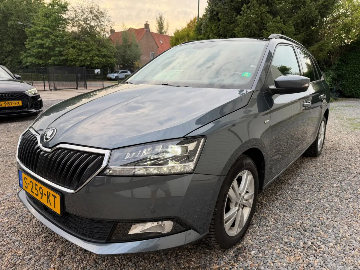 1.0 TSI Style PANORAMADAK.XEON-LED.ADAPTIEF.CLIMA!