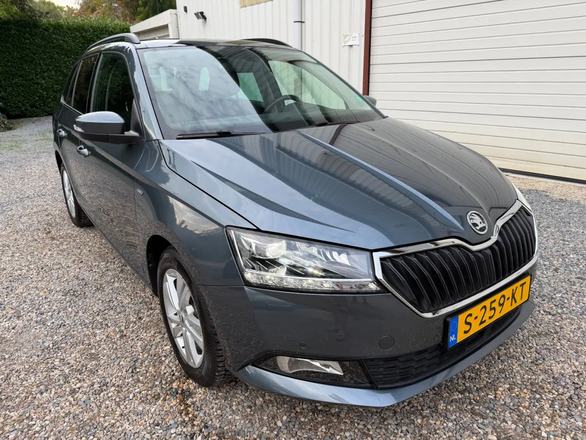 1.0 TSI Style PANORAMADAK.XEON-LED.ADAPTIEF.CLIMA!