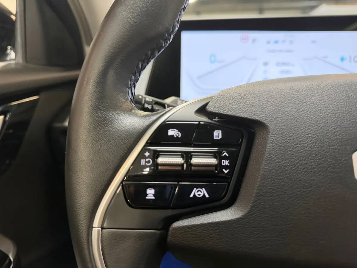 Plus Advanced AWD 77.4 kWh, Leder, 20"LM, Pano, adap cruise, stoelverw / koeling