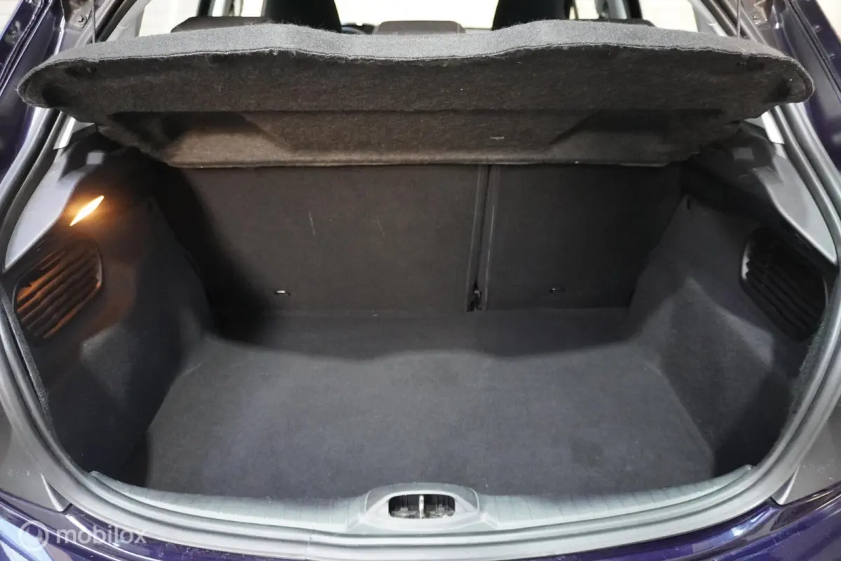 1.2 PureTech Blue Lease