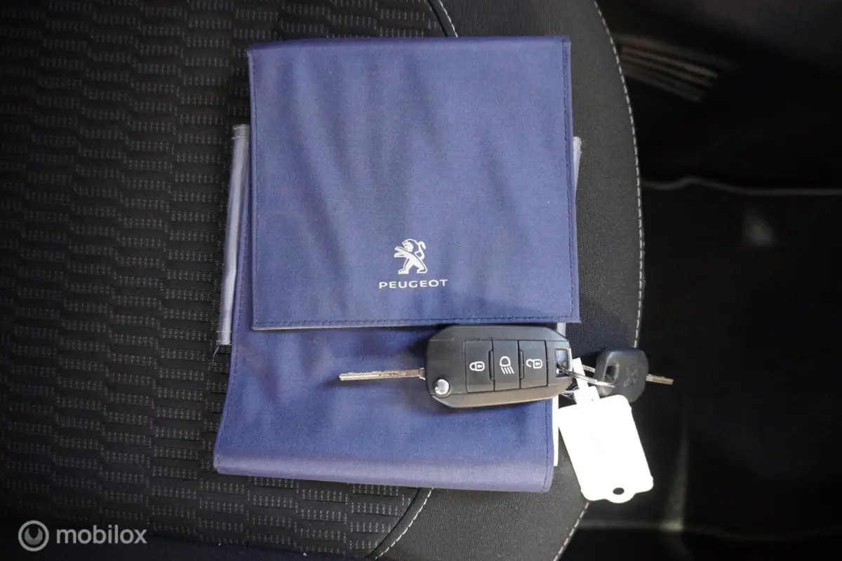 1.2 PureTech Blue Lease