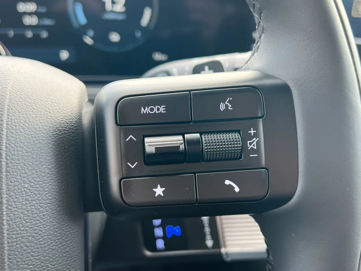 1.6 T-GDI PHEV 252pk Black Line 4WD 7p. | Draadloos carplay | Trekhaak | Premium Audio | Stoelventilatie | Bestuurdersstoel met geheugen | Head-up display | Leder | 360 graden camera | Stoel