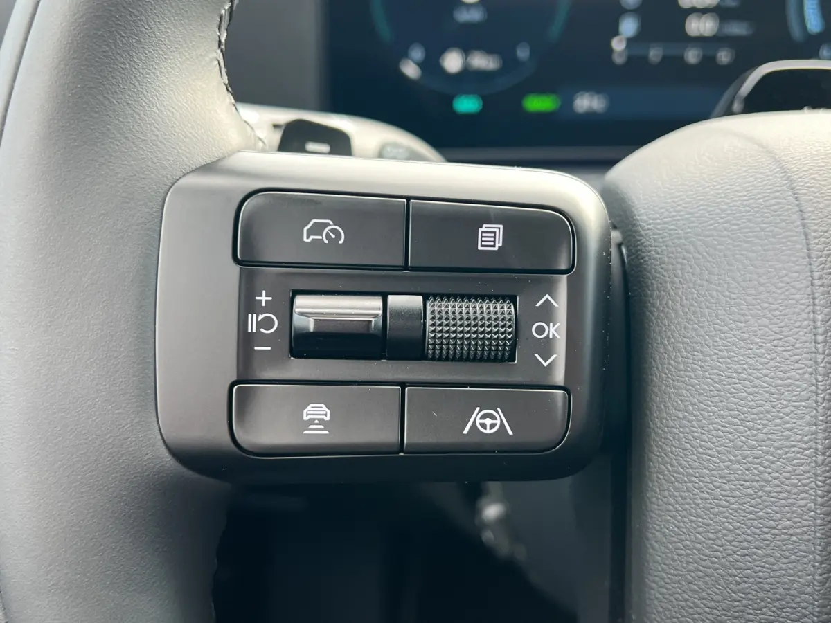 1.6 T-GDI PHEV 252pk Black Line 4WD 7p. | Draadloos carplay | Trekhaak | Premium Audio | Stoelventilatie | Bestuurdersstoel met geheugen | Head-up display | Leder | 360 graden camera | Stoel