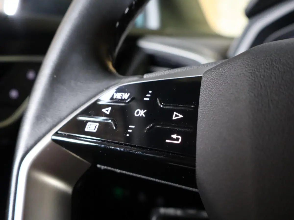 40 204pk Launch edition Advanced Plus 77 kWh | Apple Carplay/Android Auto | Voorstoelen Verwarmd | Adaptive Cruise