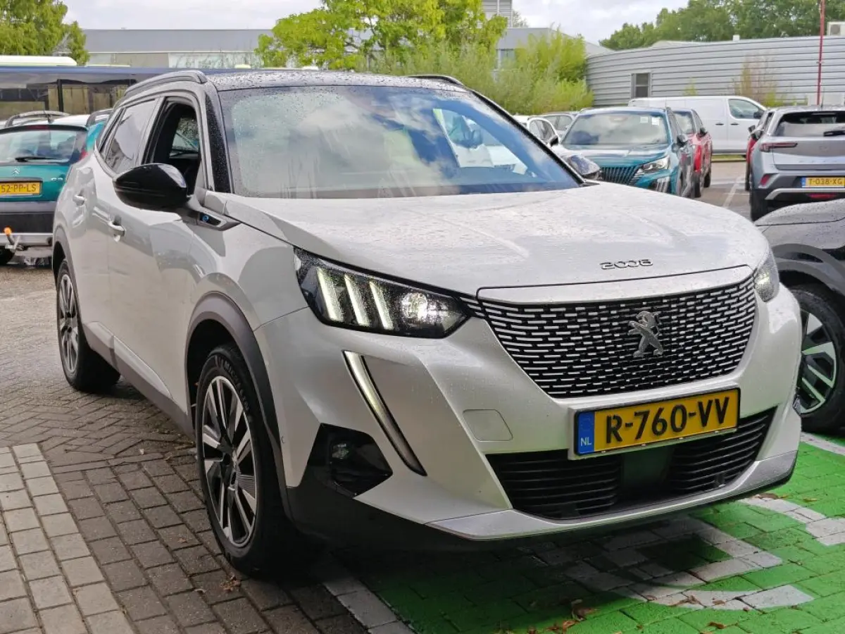 EV GT Pack 50 kWh | Fase 3 laden | Panorama/schuifdak | Lederen bekleding | Stoelverwarming | NL auto |