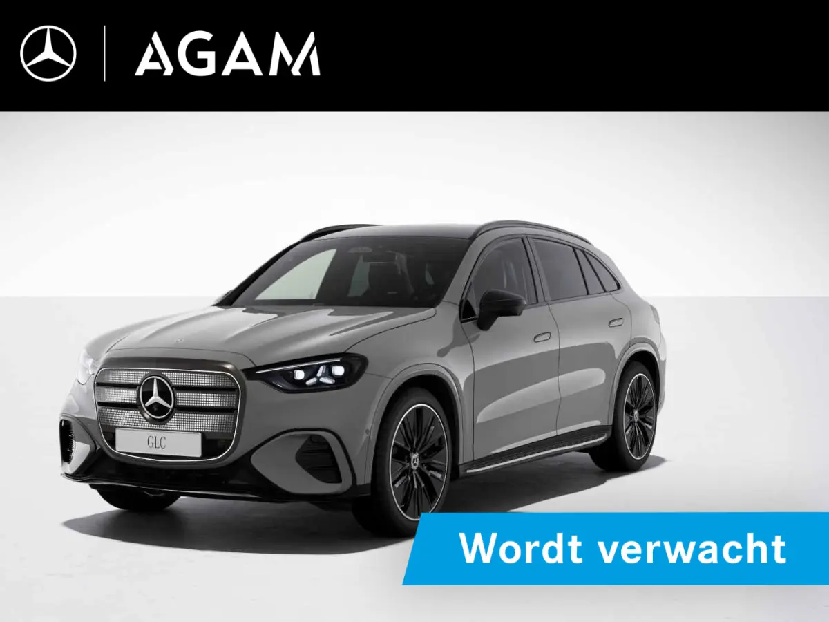 electric 250 Business Solution AMG 85 kWh