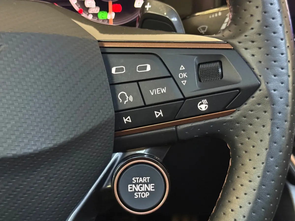 1.4 e-Hybrid VZ Performance Pano 360 Leder Keyless Sfeer