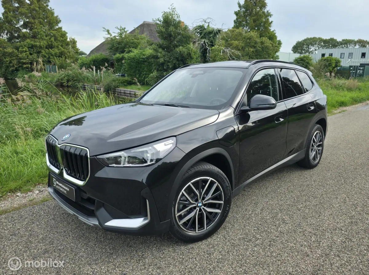 xDrive25e / Pano / Leder / HUD / HK Audio / Trekhaak
