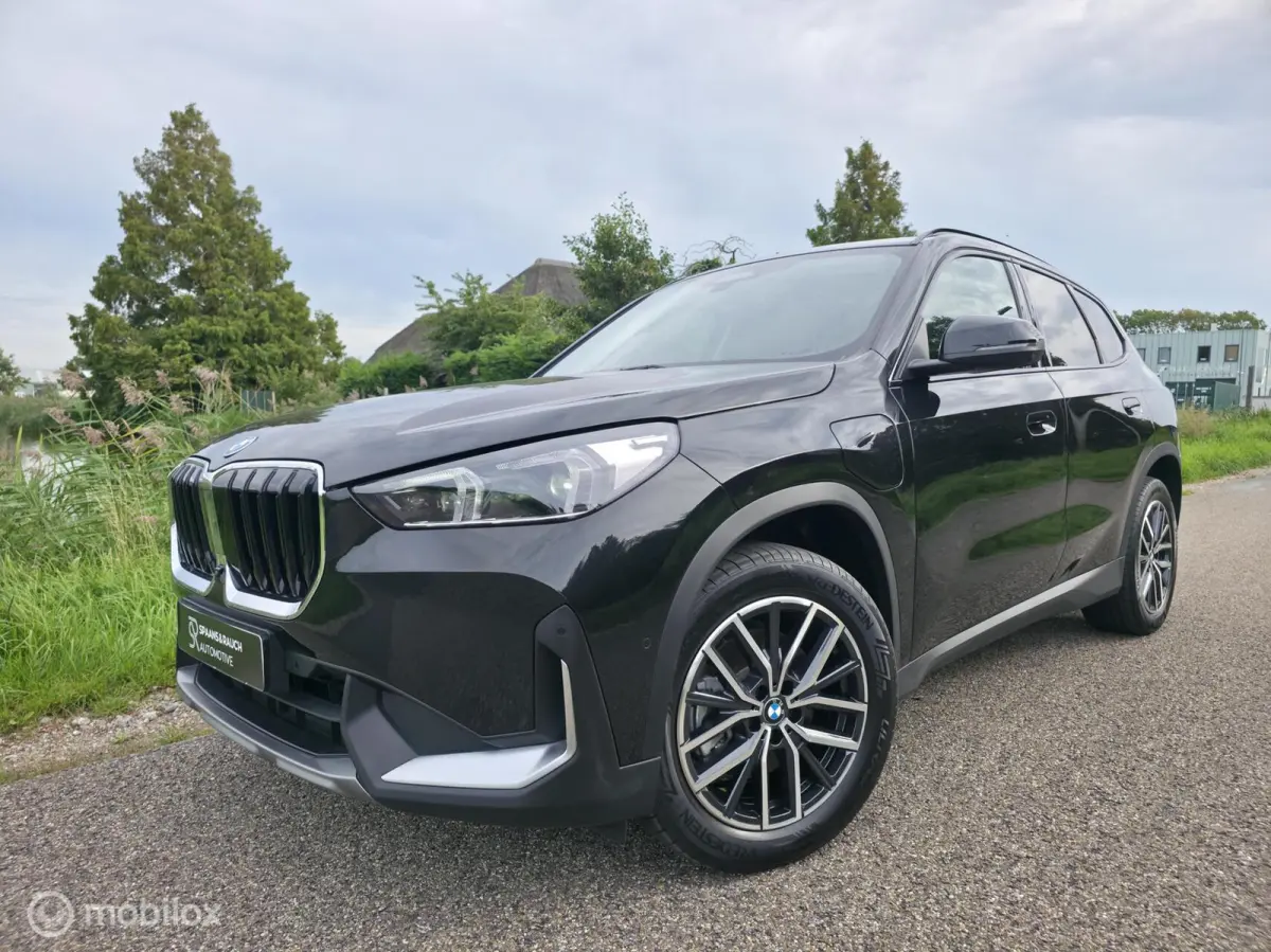 xDrive25e / Pano / Leder / HUD / HK Audio / Trekhaak