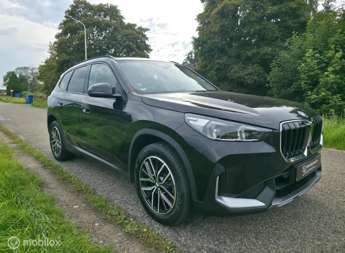 xDrive25e / Pano / Leder / HUD / HK Audio / Trekhaak