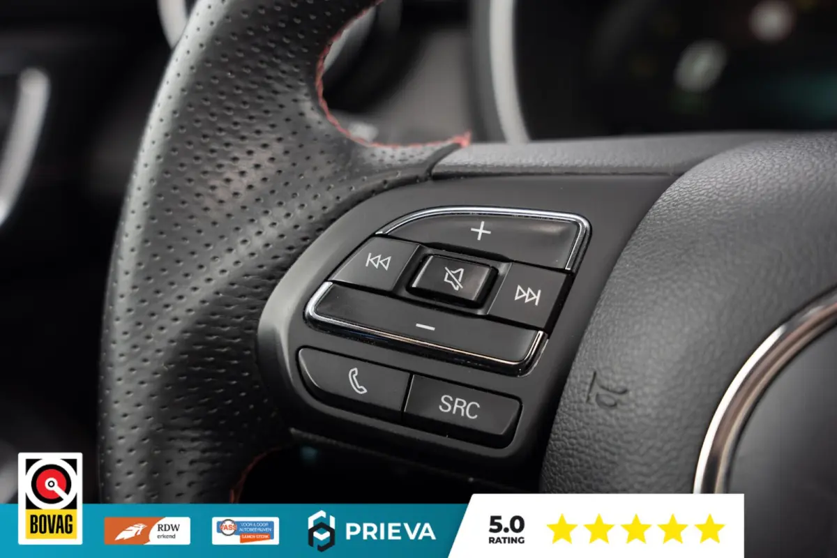 - 1.5 TGDI PHEV 258pk Luxury | Leder | Panoramadak | 360 camera