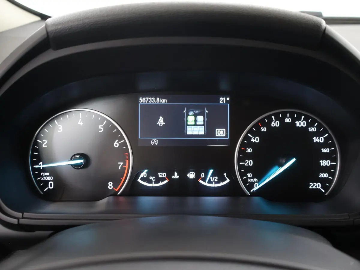 1.0 EcoBoost Active | Navigatie | Lederen Interieur | Camera | DAB | Stoel en stuurverwarming | Cruise Control | Climate Control | B&o Audio | BLIS |