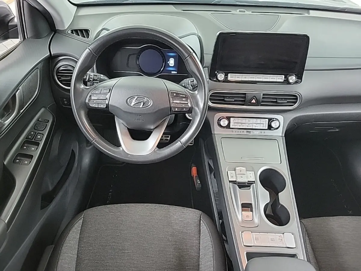 EV Comfort 64 kWh 3-Fase 1e-Eig. & Dealer-Onderh. BOVAG-Garantie. NL-Auto.