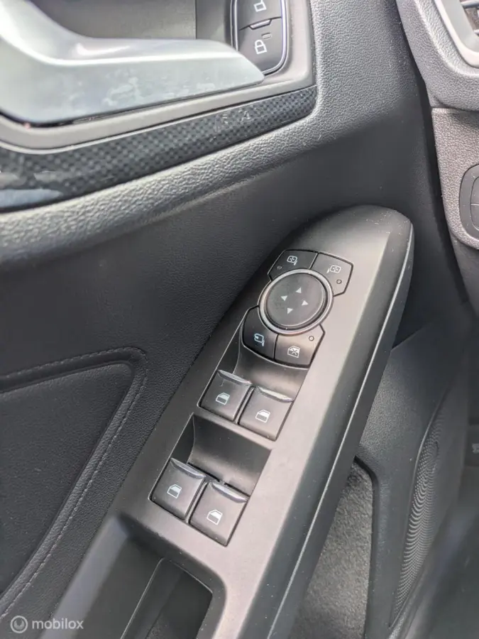 1.5 EcoBlue ST Line Business