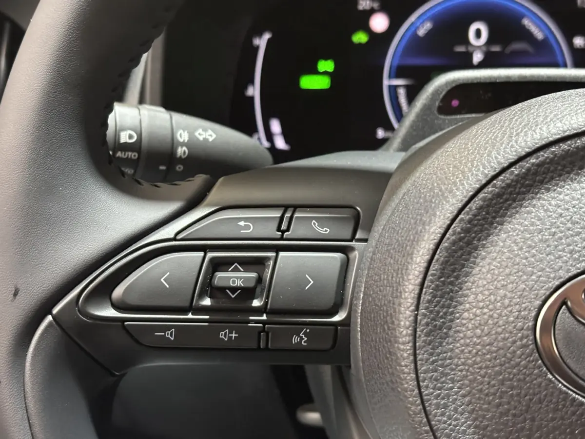 Hybrid 115 Pulse / Camera / Applecarplay/Androidauto / Parkeersensoren V+A / Stoelverwarming /