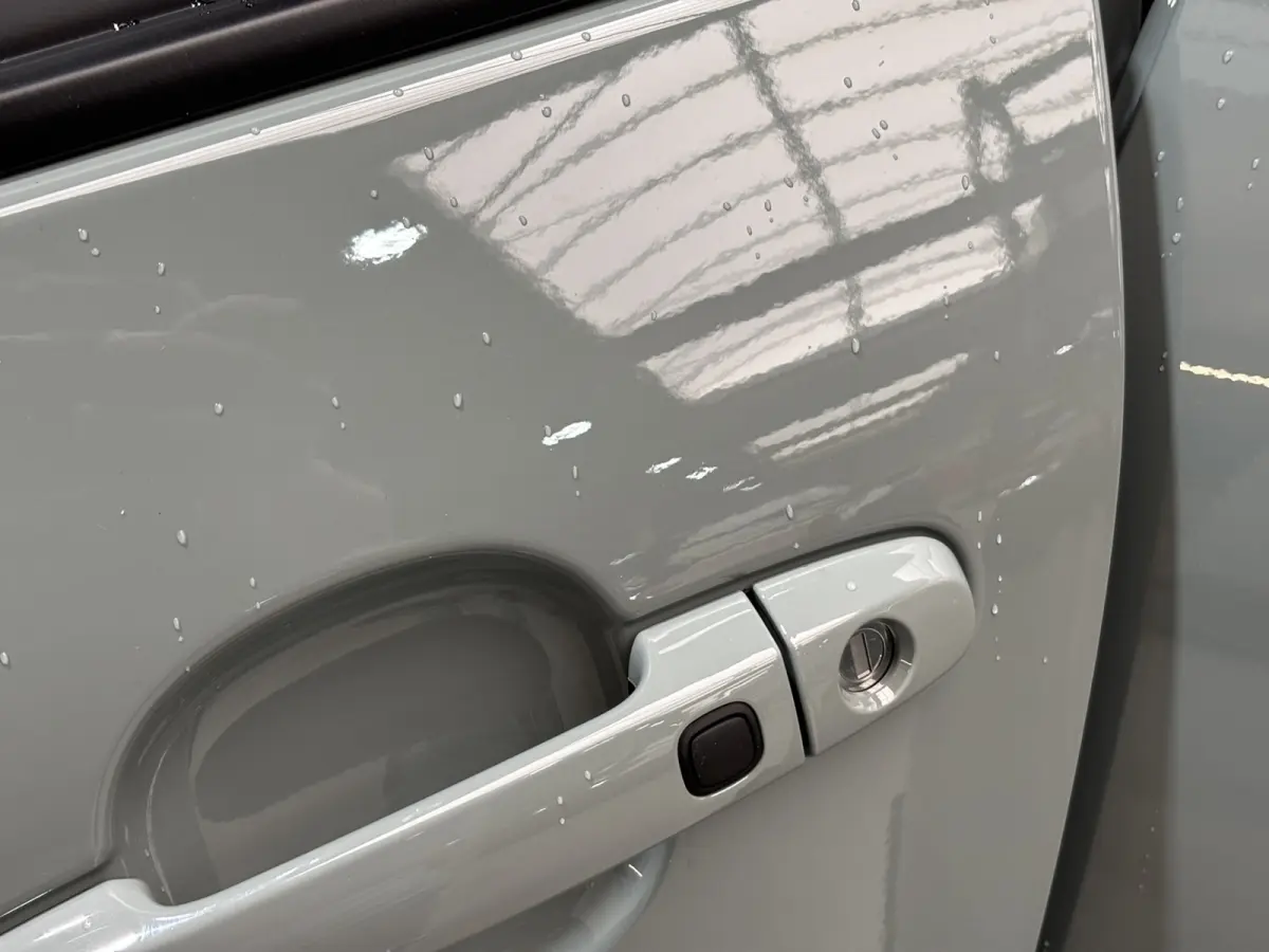 Hybrid 115 Pulse / Camera / Applecarplay/Androidauto / Parkeersensoren V+A / Stoelverwarming /