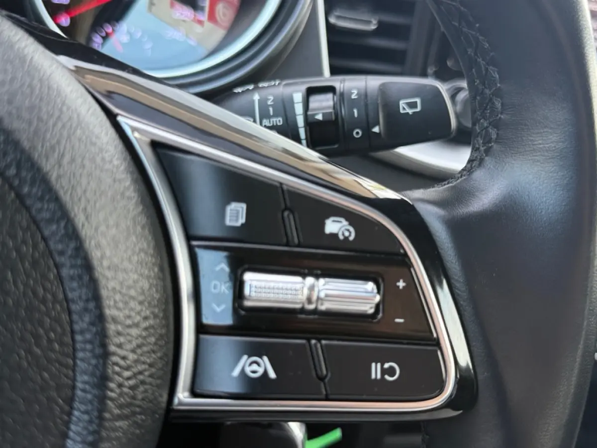 1.0 T-GDi MHEV Dynamic Line