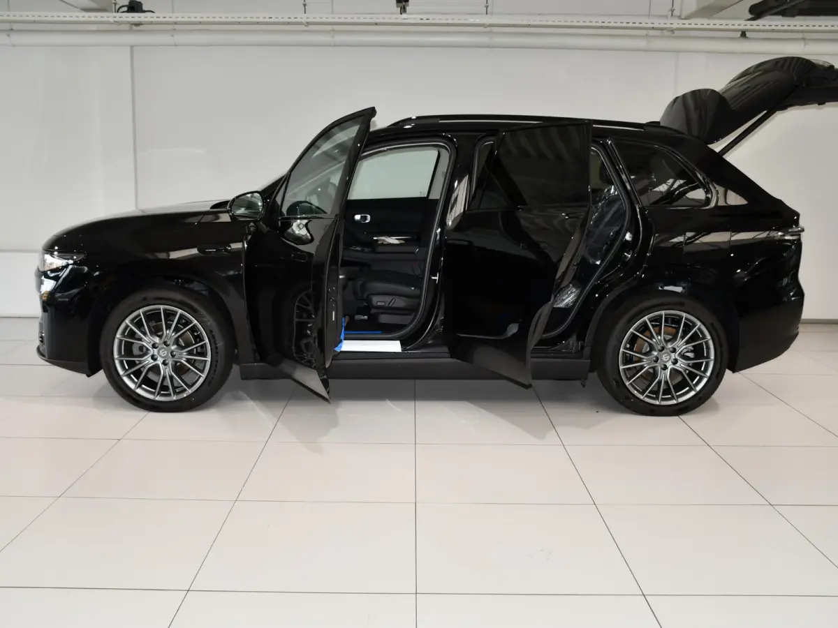 Design ProMax 81.9 kWh Voorraad