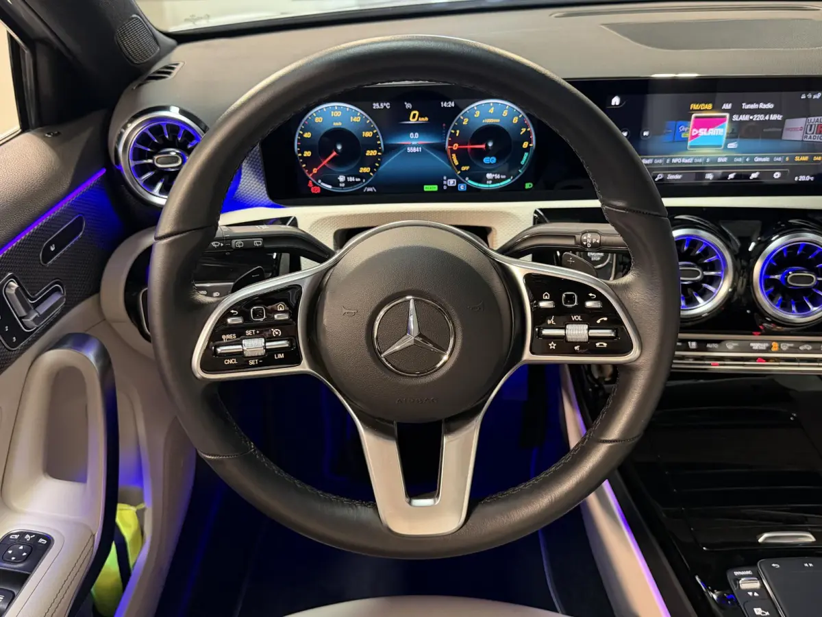 250 e Business Solution Luxury Limited 17"/Panoramadak/Leder + memory/Stoelverwarming/Camera/Dodehoek/Keyless/Matrix LED