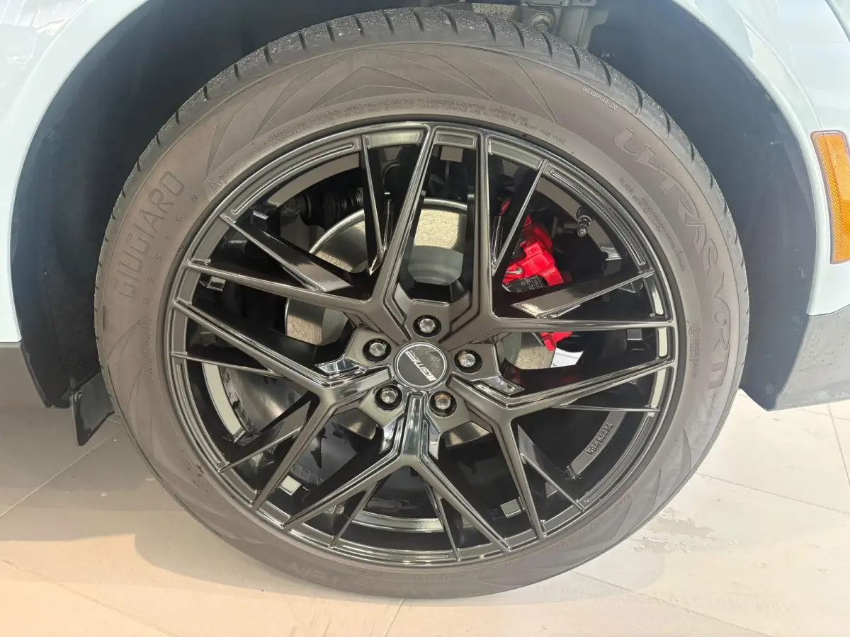 Extended Premium RWD 88 kWh TECHNOLOGY PACK | PANORAMA DAK | ADAPTIVE CRUISE