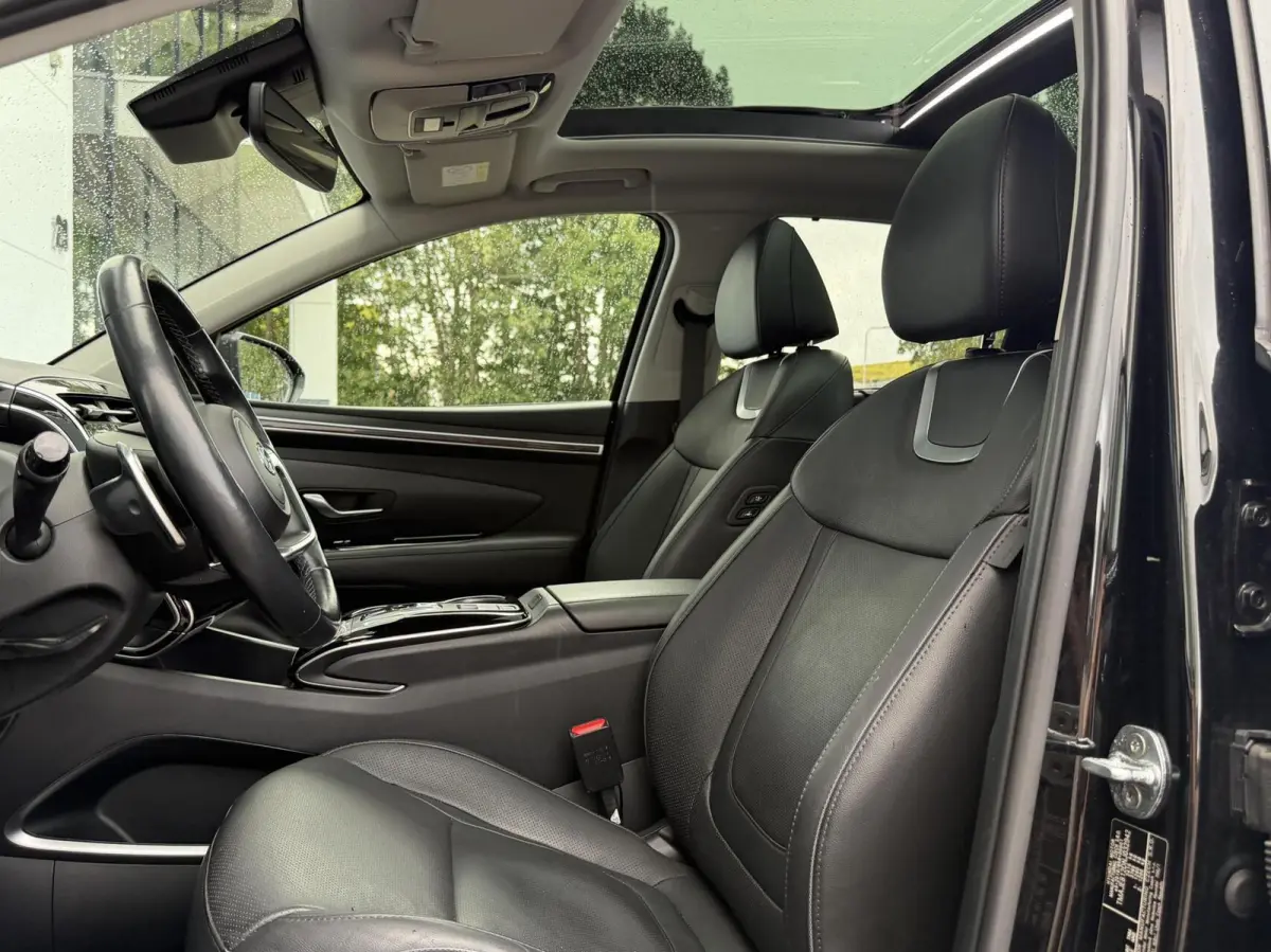1.6 T-GDI PHEV Premium Sky SOH 100% | Panodak