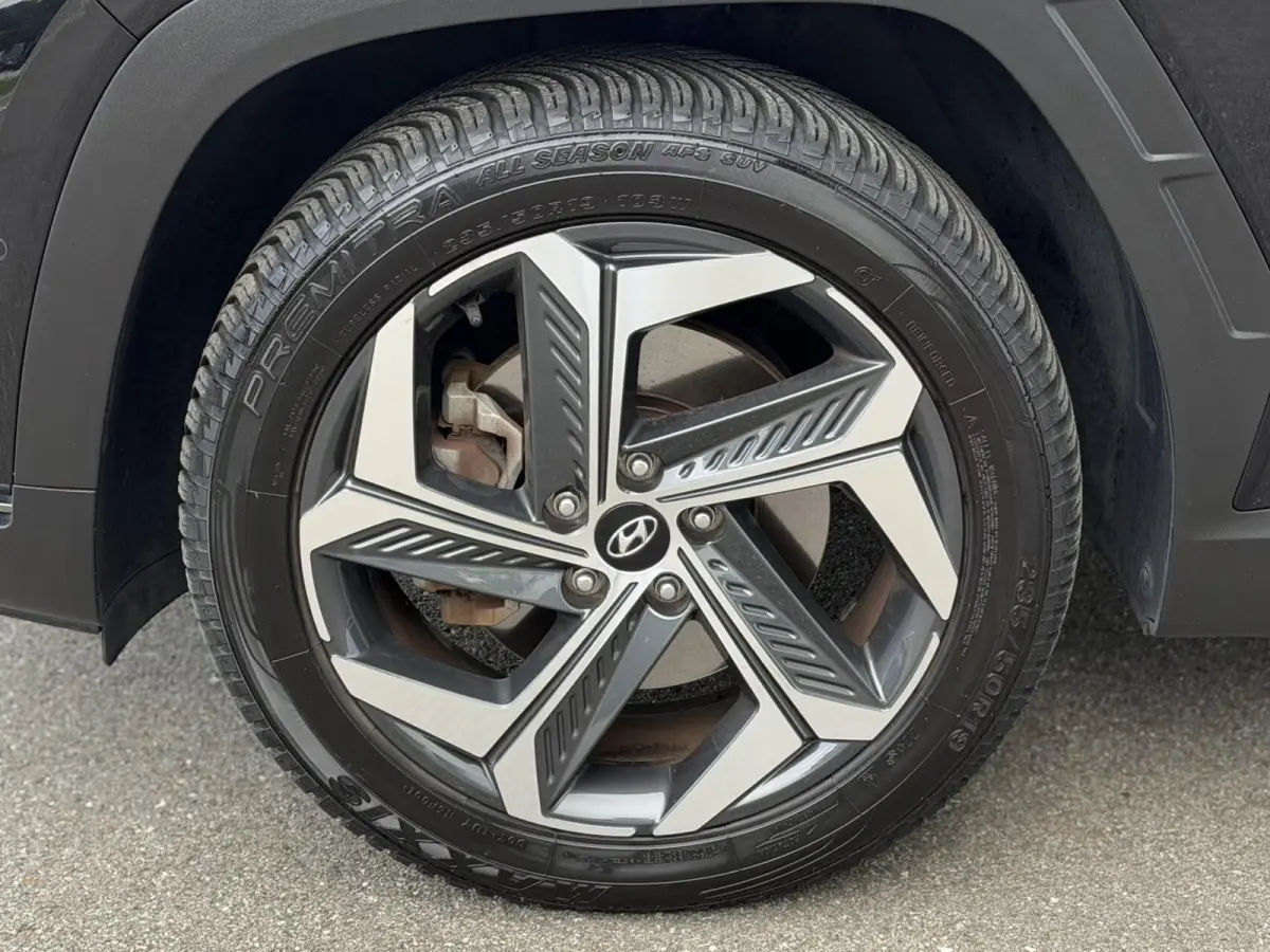 1.6 T-GDI PHEV Premium Sky SOH 100% | Panodak
