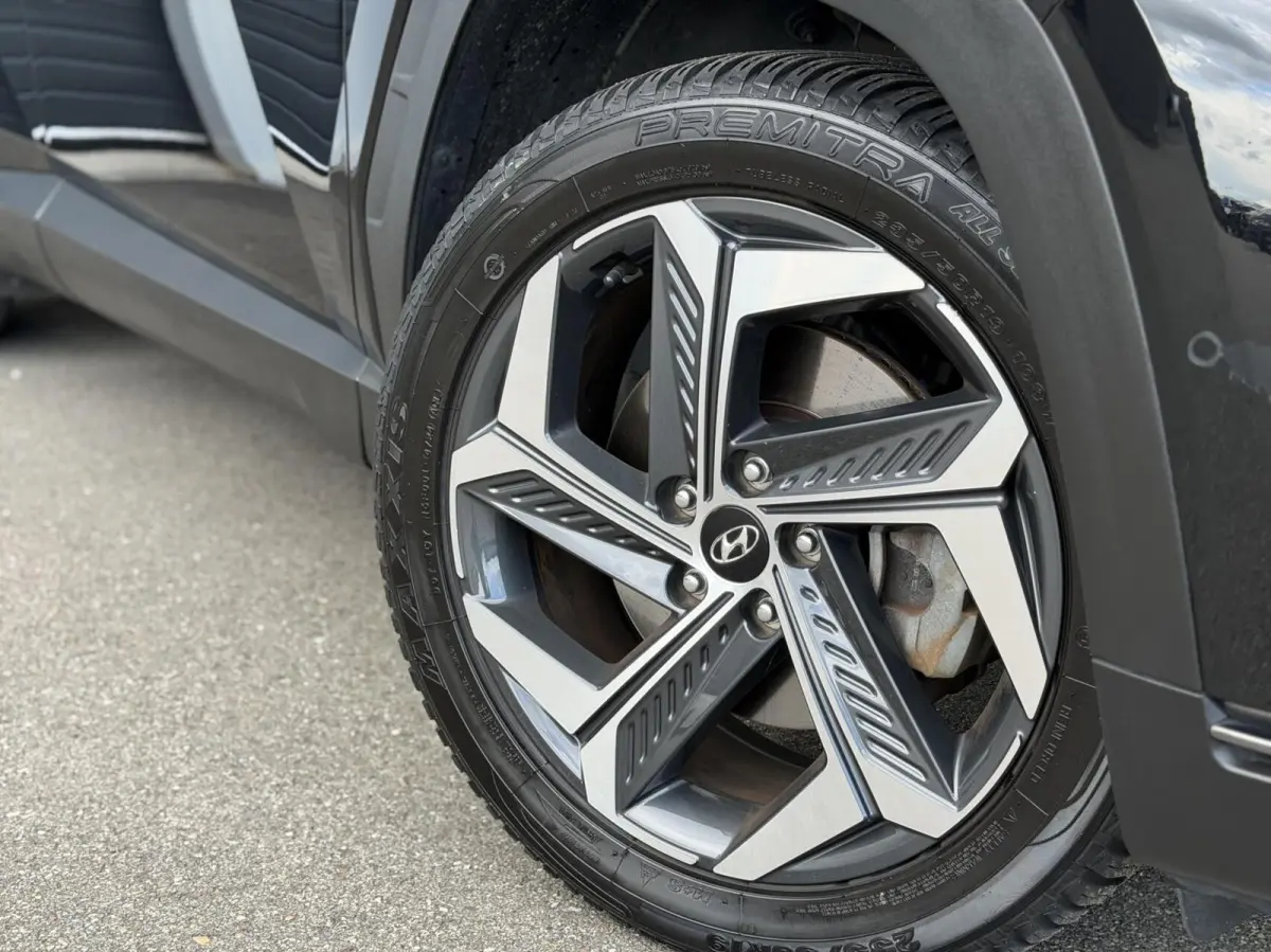1.6 T-GDI PHEV Premium Sky SOH 100% | Panodak