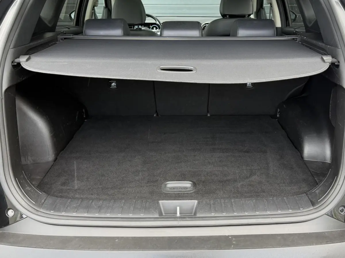 1.6 T-GDI PHEV Premium Sky SOH 100% | Panodak