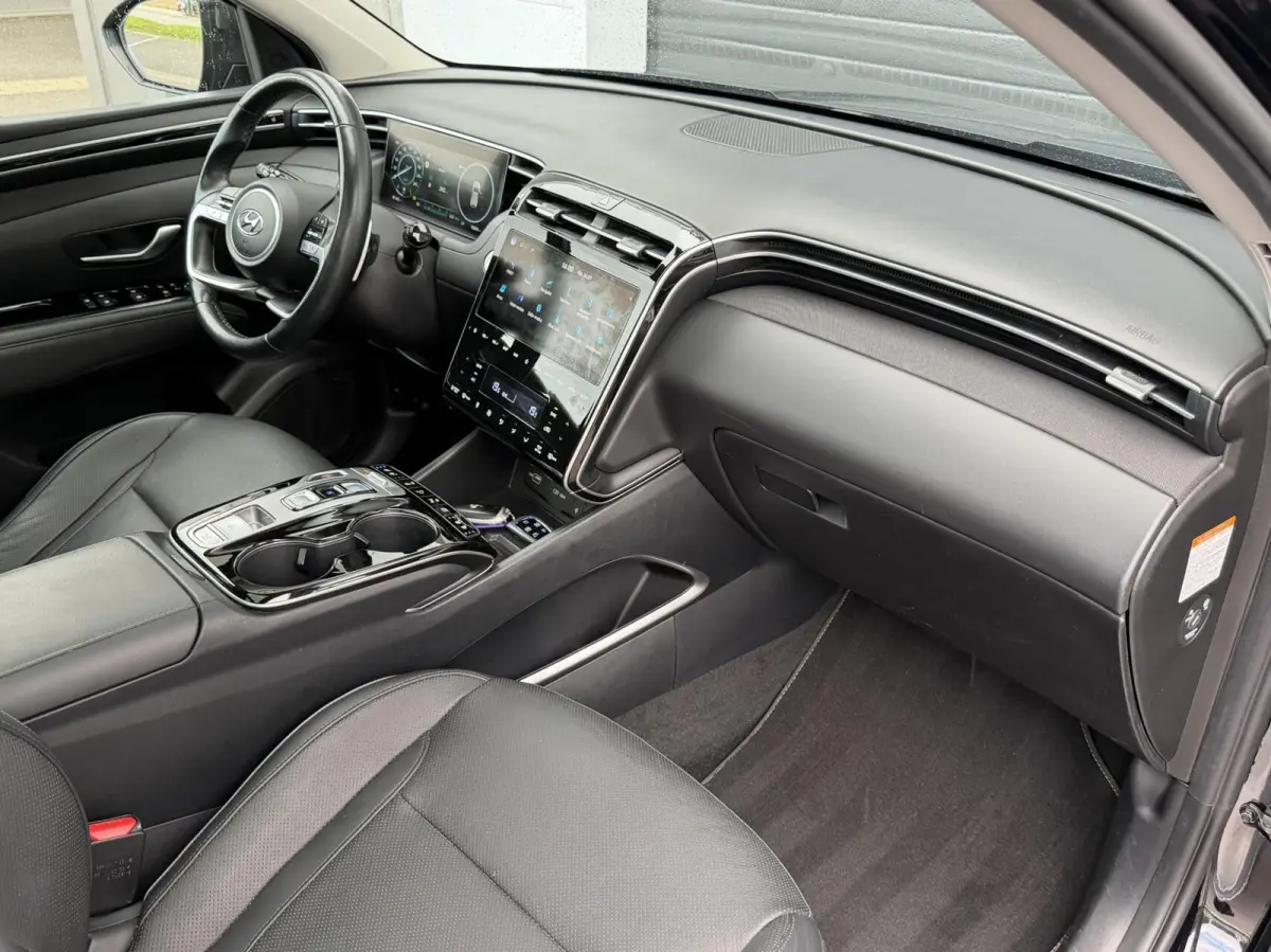 1.6 T-GDI PHEV Premium Sky SOH 100% | Panodak