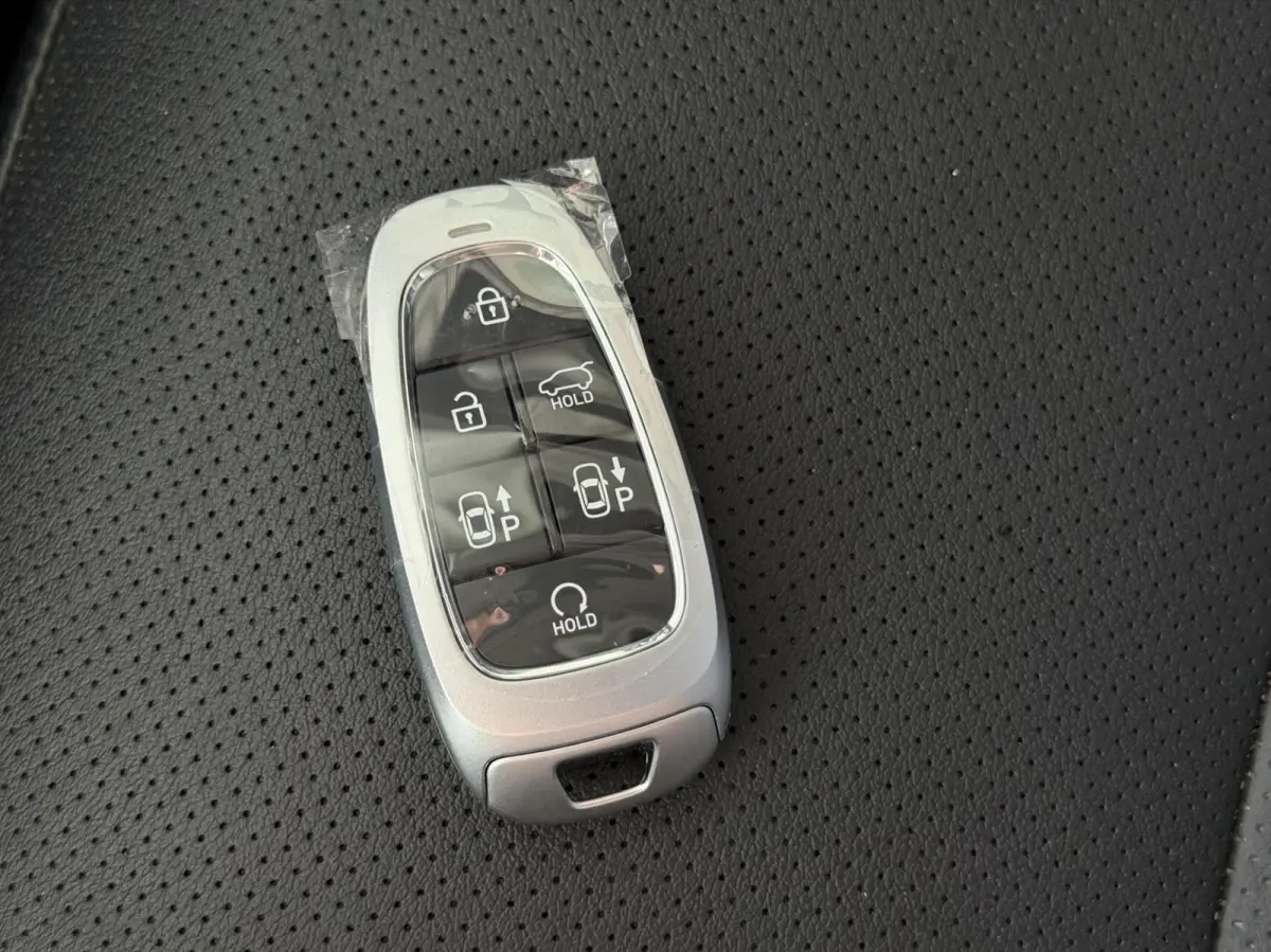 1.6 T-GDI PHEV Premium Sky SOH 100% | Panodak