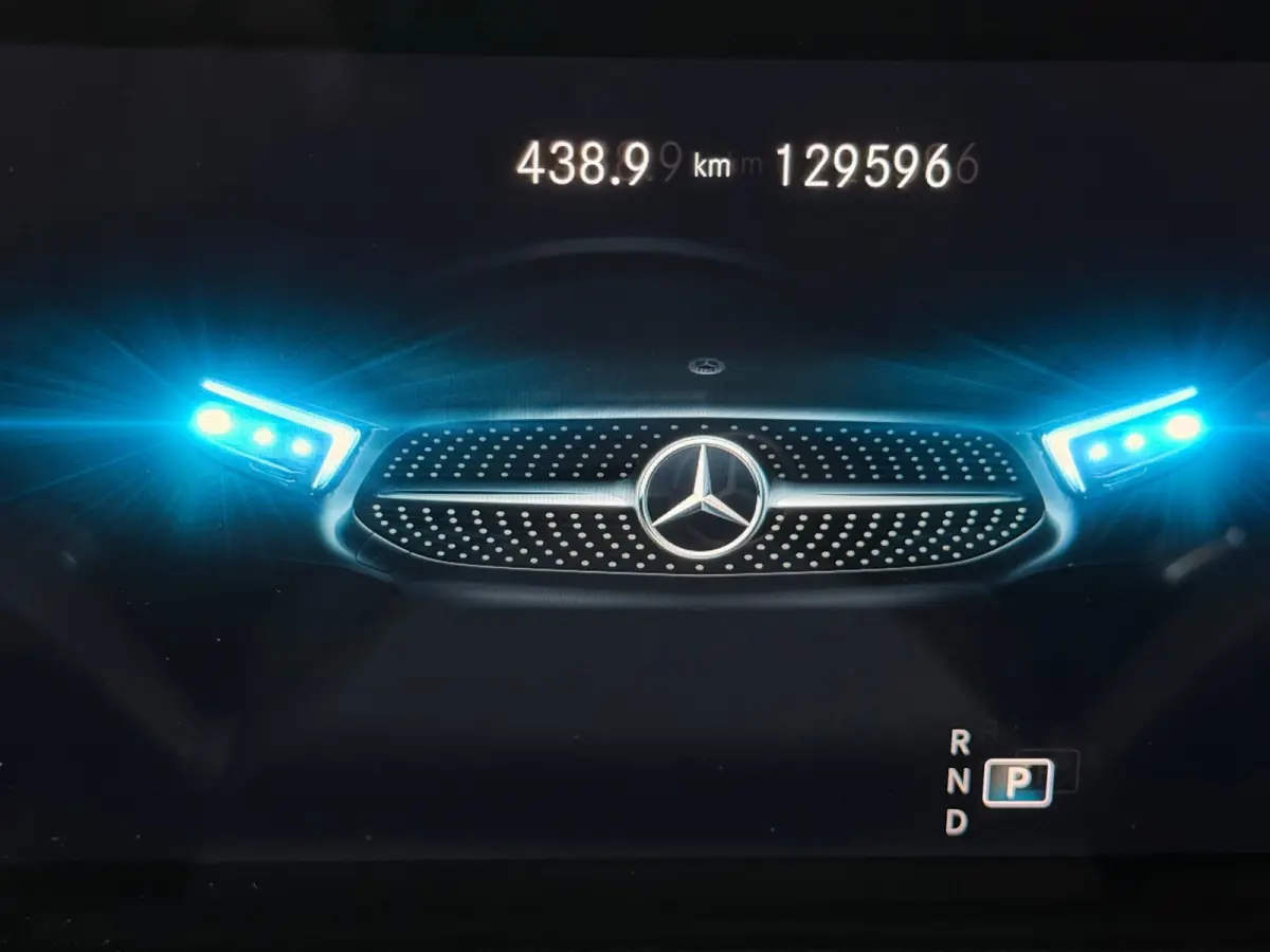 200 Business Solution AMG Navigatie clima Cruise Camera LM