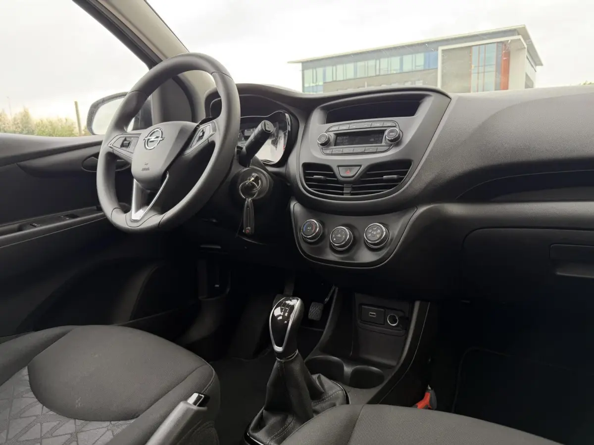 1.0 ecoFLEX 120 Jaar Edition | cruise | airco | PDC | licht metalen velgen