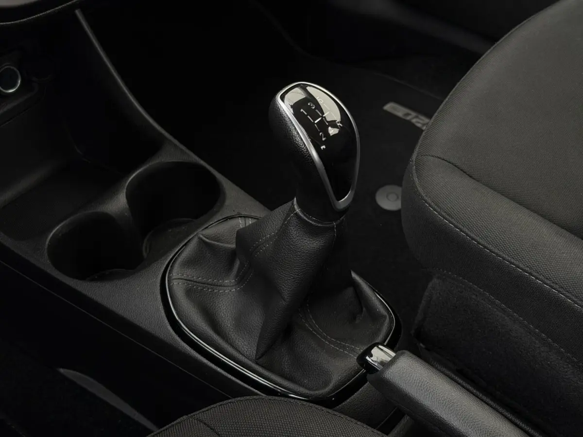 1.0 ecoFLEX 120 Jaar Edition | cruise | airco | PDC | licht metalen velgen