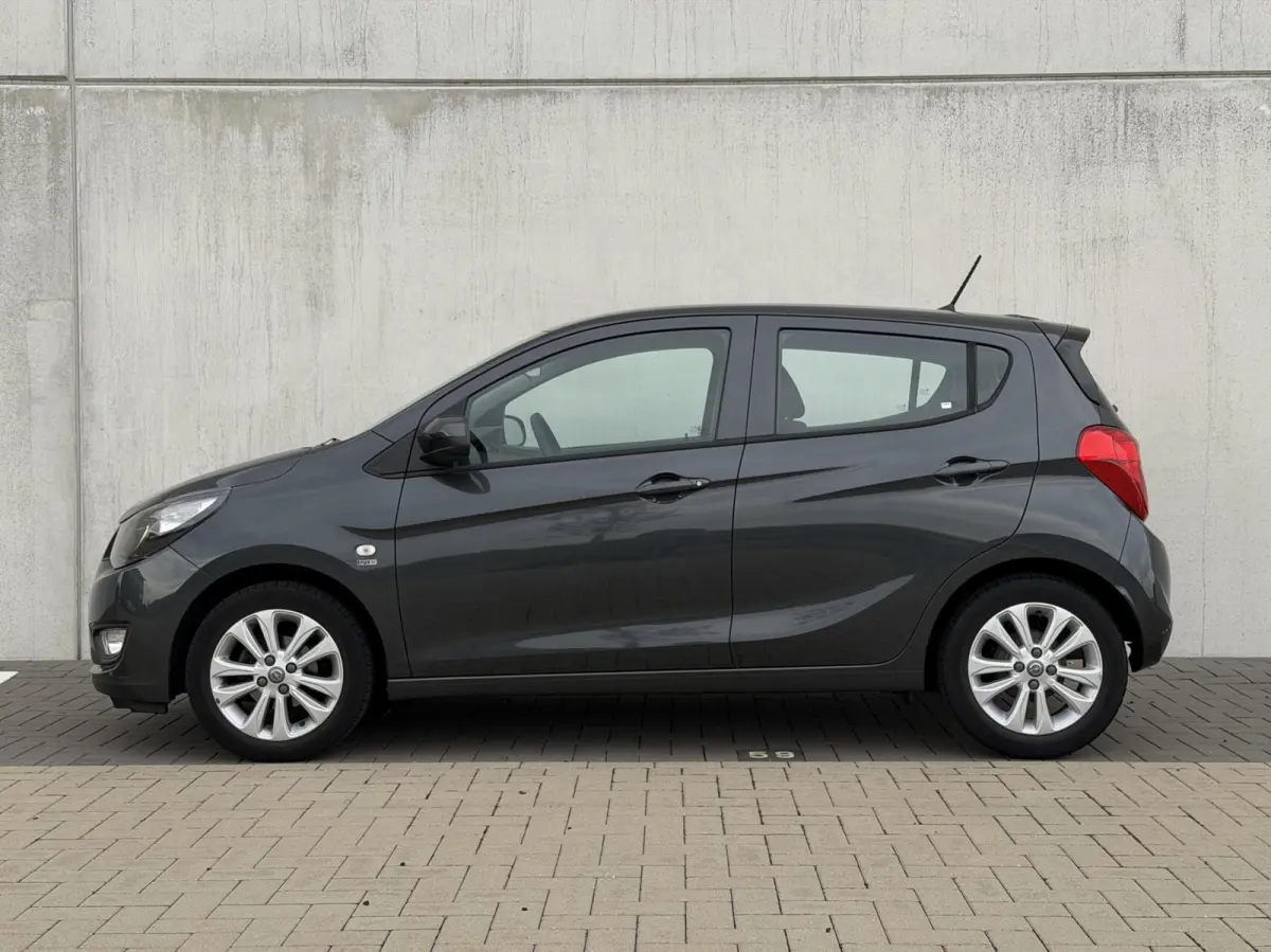 1.0 ecoFLEX 120 Jaar Edition | cruise | airco | PDC | licht metalen velgen
