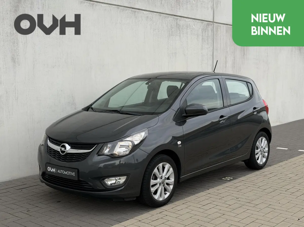 1.0 ecoFLEX 120 Jaar Edition | cruise | airco | PDC | licht metalen velgen