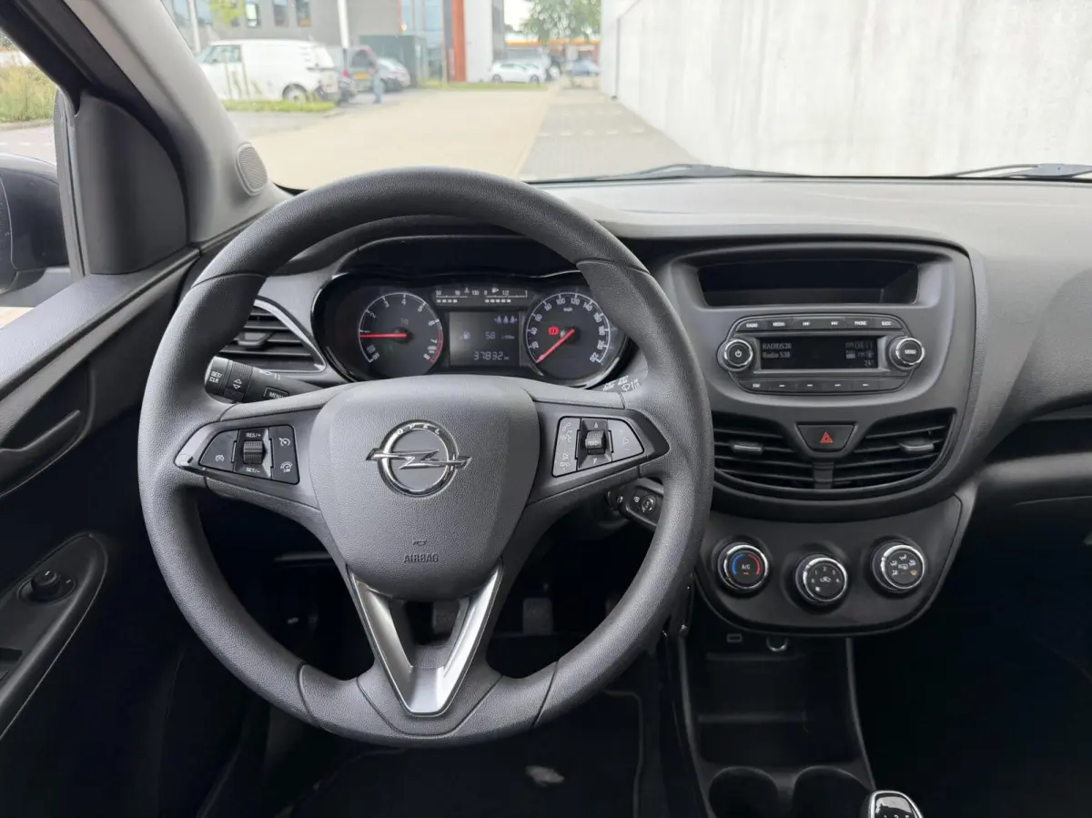1.0 ecoFLEX 120 Jaar Edition | cruise | airco | PDC | licht metalen velgen