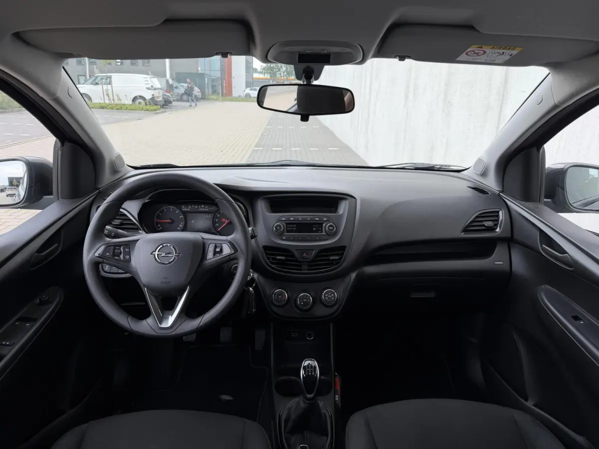 1.0 ecoFLEX 120 Jaar Edition | cruise | airco | PDC | licht metalen velgen