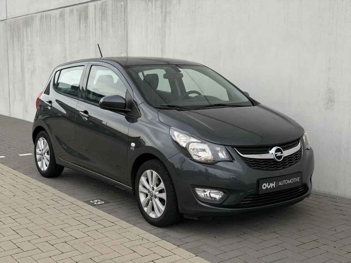 1.0 ecoFLEX 120 Jaar Edition | cruise | airco | PDC | licht metalen velgen