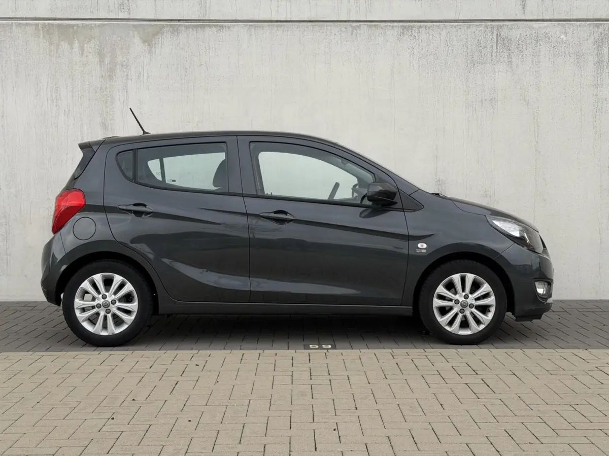 1.0 ecoFLEX 120 Jaar Edition | cruise | airco | PDC | licht metalen velgen