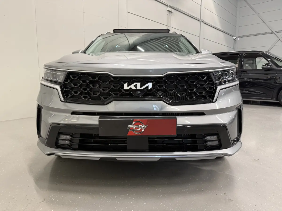 1.6 T-GDI Plug-in Hybrid 4WD ExecutiveLine 46DKM/PANO/VOL-LEER/360CAMERA/BOSE/LED/ACC/DRIVE MODE/VIRTUAL/SFEER/KEYLESS/NIVEAUREGELING/19"/PRIVACY/STAHLGRAU-METALLIC/NET OH BEURT GEHAD BIJ KI