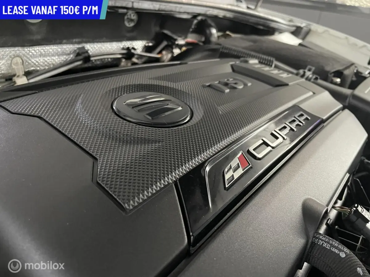 2.0 TSI Cupra 290 DSG PANORAMA NAVI CRUISE KUIPSTOELEN VOL OPTIES
