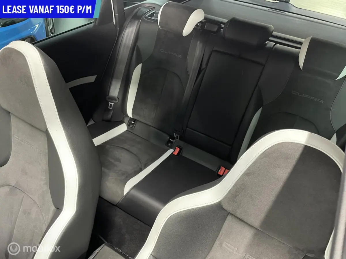 2.0 TSI Cupra 290 DSG PANORAMA NAVI CRUISE KUIPSTOELEN VOL OPTIES